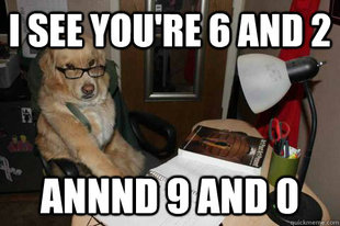 Financial Advice Dog