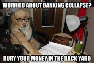 Financial Advice Dog