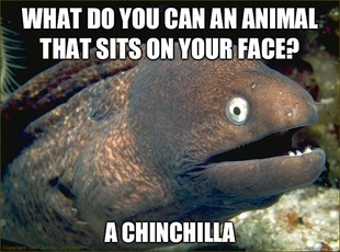 Bad Joke Eel