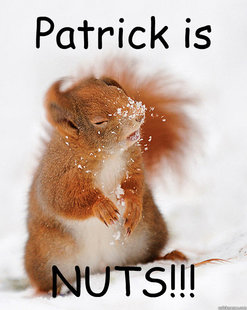 cover squirrel