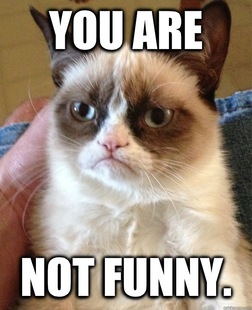 Grumpy cat