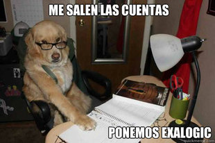 Financial Advice Dog