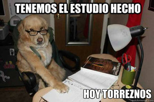 Financial Advice Dog