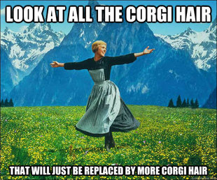 Sound of Music