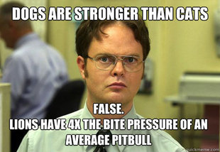 Dwight