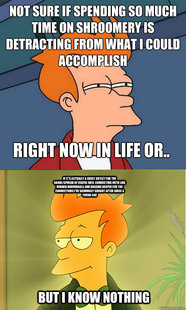Enlightened Fry