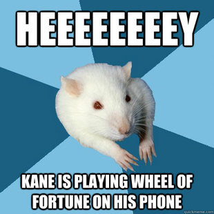 Psychology Major Rat