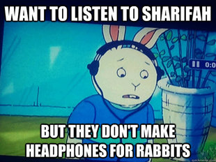 First World Rabbit Problems