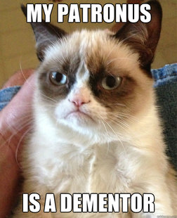 Grumpy Cat