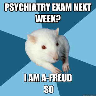 Psychology Major Rat