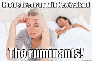 Kyoto New Zealand break-up