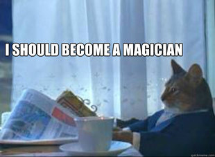I should buy a boat cat