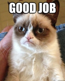 Grumpy cat