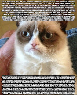 Grumpy cat