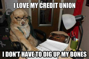 Financial Advice Dog