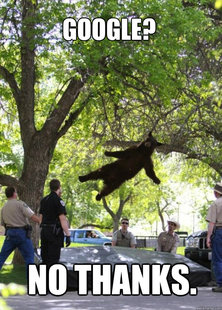 i am a falling bear