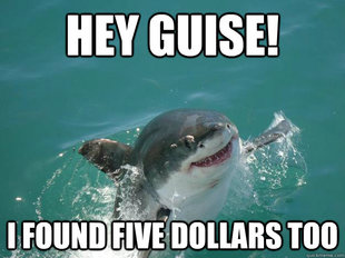 Misunderstood Shark