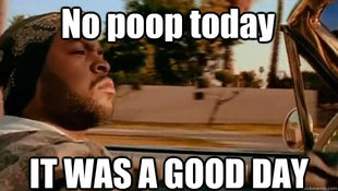It was a good day