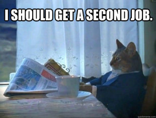 morning realization newspaper cat meme