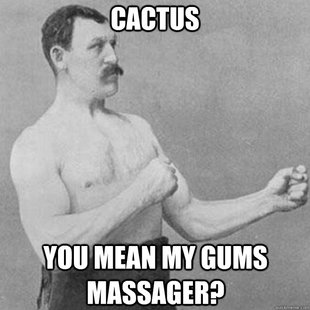 overly manly man
