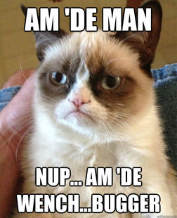 Grumpy cat