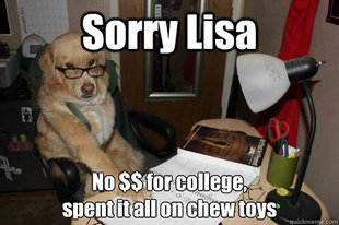 Financial Advice Dog