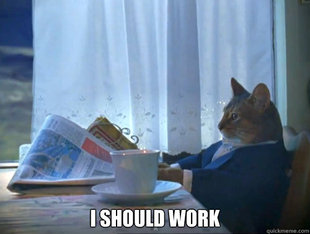 The One Percent Cat