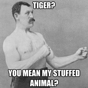 overly manly man