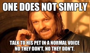 One Does Not Simply