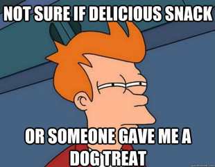 NOT SURE IF IM HUNGRY or JUST BORED