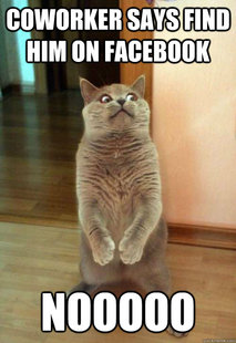 Horrorcat