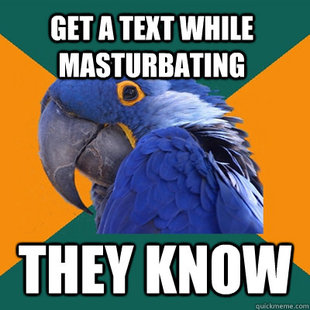 Paranoid Parrot
