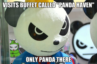 Annoyed Panda