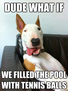 10 Dog