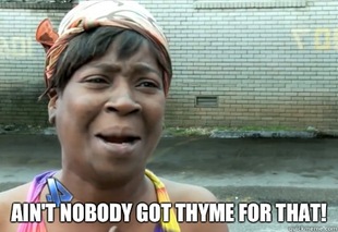 aint nobody got time