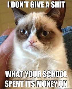 Grumpy Cat