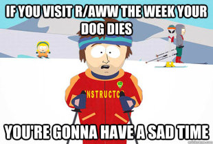 Super Cool Ski Instructor