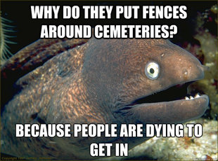 Bad Joke Eel
