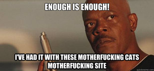 Enough Is Enough!
