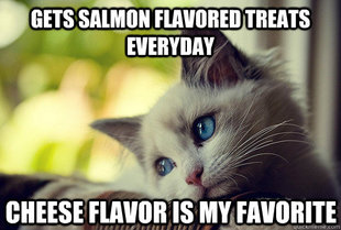 First World Cat Problems