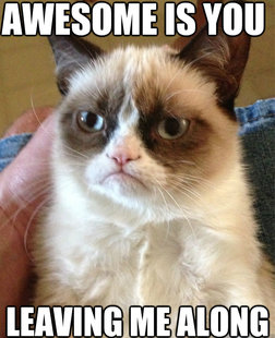 Grumpy cat
