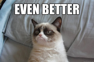 GrumpyCatOL