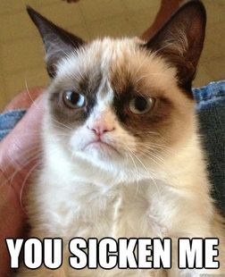 Grumpy cat
