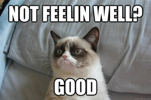 Grumpy cat