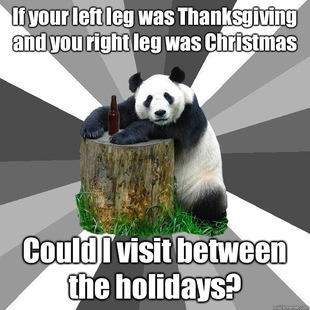 Pickup-Line Panda