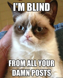 Grumpy cat