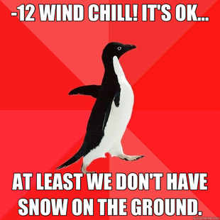 Socially Awesome Penguin