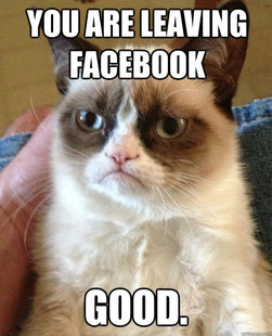 Grumpy cat