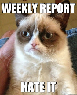 Grumpy cat