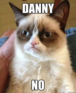 Grumpy cat